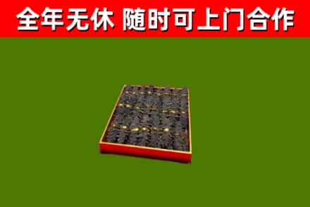 桐城回收海参